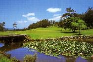 第31回　Golf-Comfort　研修会